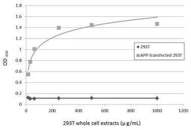 Anti-APP antibody used in ELISA (ELISA). GTX112677