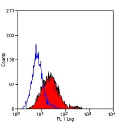 Anti-CD105 antibody [SN6] (FITC) used in Flow cytometry (FCM). GTX11415