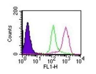 Anti-D4 GDI (cleaved specific) antibody [97A1015] used in Flow cytometry (FCM). GTX11927