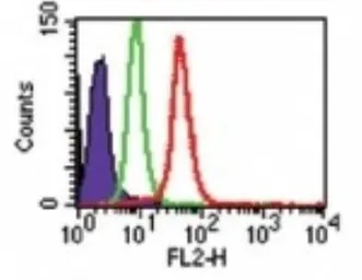 Anti-TLR8 antibody [44C143] used in Flow cytometry (FCM). GTX12120