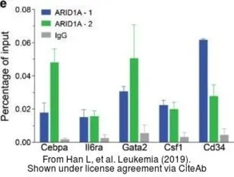 Anti-ARID1A antibody used in ChIP assay (ChIP assay). GTX129433