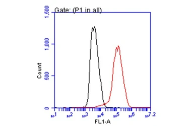Anti-PCSK9 antibody used in Flow cytometry (FCM). GTX129859