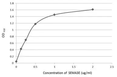 Anti-Semaphorin 3E antibody used in ELISA (ELISA). GTX130365