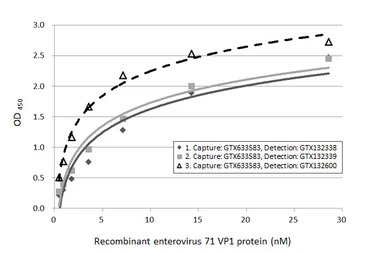 Anti-Enterovirus 71 VP1 antibody used in ELISA (ELISA). GTX132600