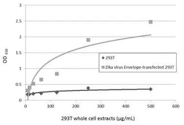 Anti-Zika virus Envelope protein antibody used in ELISA (ELISA). GTX133326