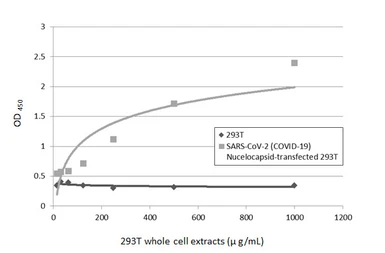 Anti-SARS-CoV-2 (COVID-19) Nucleocapsid antibody used in ELISA (ELISA). GTX135357