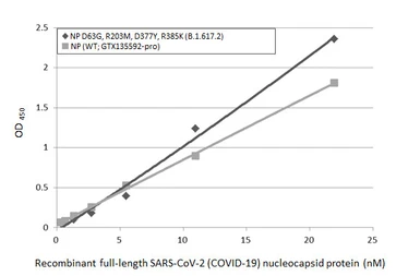 SARS-CoV-2 (COVID-19) Nucleocapsid protein, His tag. GTX135592-pro