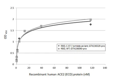 Human ACE2 (ECD) protein, mouse IgG Fc tag (active). GTX135683-pro