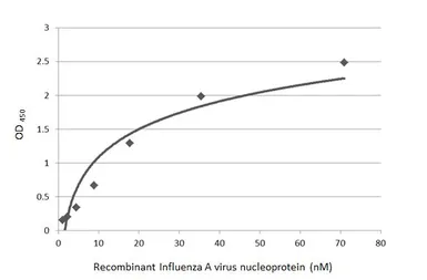 Influenza A virus Nucleoprotein (A/WSN/1933 (H1N1)), DDDDK Tag. GTX135868-pro
