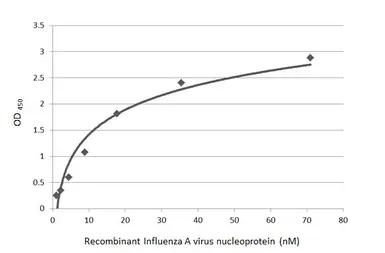 Influenza A virus Nucleoprotein (A/WSN/1933 (H1N1)), DDDDK Tag. GTX135868-pro