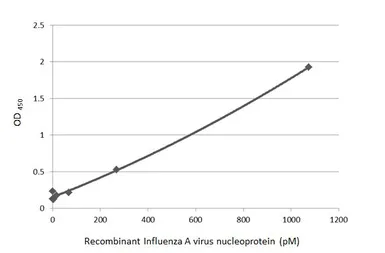 Influenza A virus Nucleoprotein (A/Kansas/2017/H3N2), DDDDK Tag. GTX135903-pro