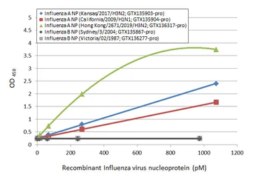 Influenza A virus Nucleoprotein (A/California/2009 (H1N1)), DDDDK Tag. GTX135904-pro