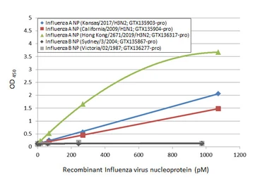 Influenza A virus Nucleoprotein (A/California/2009 (H1N1)), DDDDK Tag. GTX135904-pro