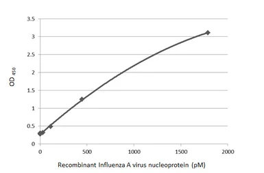 Influenza A virus Nucleoprotein (A/California/2009 (H1N1)), DDDDK Tag. GTX135904-pro
