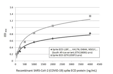 SARS-CoV-2 (COVID-19) Spike (ECD) protein, His tag (active). GTX135972-pro