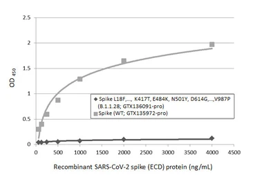 SARS-CoV-2 (COVID-19) Spike (ECD) protein, His tag (active). GTX135972-pro