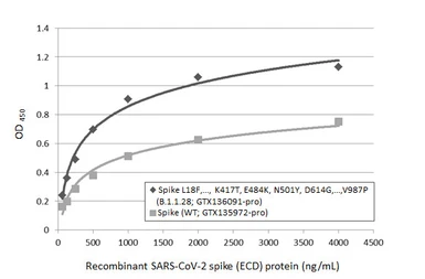 SARS-CoV-2 (COVID-19) Spike (ECD) protein, His tag (active). GTX135972-pro