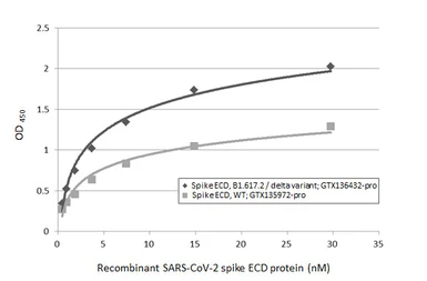 SARS-CoV-2 (COVID-19) Spike (ECD) protein, His tag (active). GTX135972-pro
