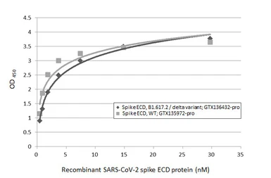 SARS-CoV-2 (COVID-19) Spike (ECD) protein, His tag (active). GTX135972-pro