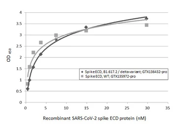 SARS-CoV-2 (COVID-19) Spike (ECD) protein, His tag (active). GTX135972-pro