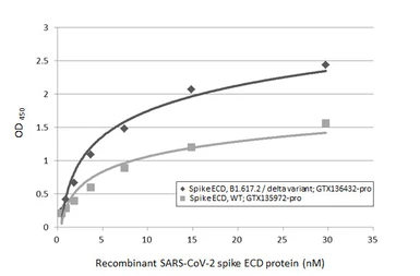 SARS-CoV-2 (COVID-19) Spike (ECD) protein, His tag (active). GTX135972-pro
