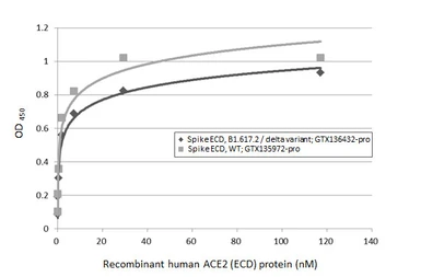 SARS-CoV-2 (COVID-19) Spike (ECD) protein, His tag (active). GTX135972-pro