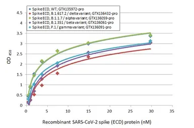 SARS-CoV-2 (COVID-19) Spike (ECD) protein, His tag (active). GTX135972-pro