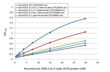 SARS-CoV-2 (COVID-19) Spike (ECD) Protein, B.1.351 / Beta variant, His tag (active). GTX136061-pro