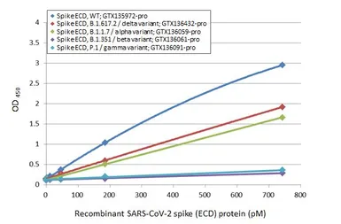 SARS-CoV-2 (COVID-19) Spike (ECD) Protein, P.1 / Gamma variant, His tag (active). GTX136091-pro