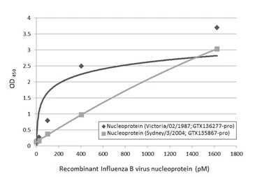 Influenza B virus Nucleoprotein (B/Victoria/02/1987), DDDDK Tag. GTX136277-pro