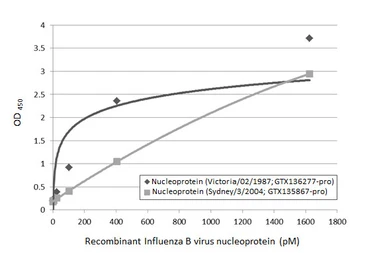 Influenza B virus Nucleoprotein (B/Victoria/02/1987), DDDDK Tag. GTX136277-pro