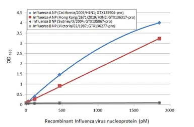 Influenza A virus Nucleoprotein (A/Hong Kong/2671/2019 (H3N2)), DDDDK Tag. GTX136317-pro