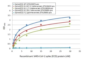 SARS-CoV-2 (COVID-19) Spike (ECD) Protein, B.1.617.2 / delta variant, His tag (active). GTX136432-pro
