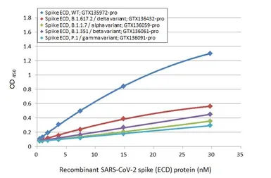 SARS-CoV-2 (COVID-19) Spike (ECD) Protein, B.1.617.2 / delta variant, His tag (active). GTX136432-pro
