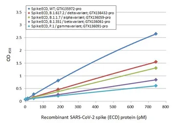 SARS-CoV-2 (COVID-19) Spike (ECD) Protein, B.1.617.2 / delta variant, His tag (active). GTX136432-pro