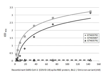 SARS-CoV-2 (COVID-19) Spike RBD Protein, Omicron / BA.2 variant, His tag. GTX136905-pro