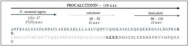Anti-Procalcitonin antibody [6F10] used in  (). GTX14816