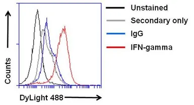 Anti-Interferon gamma antibody [B133.5] used in Flow cytometry (FCM). GTX15750