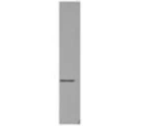 Anti-RPA32 antibody [MA34] used in Western Blot (WB). GTX15783
