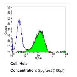 Anti-CD26 antibody [236.3] used in Flow cytometry (FCM). GTX15833