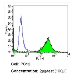 Anti-CD26 antibody [236.3] used in Flow cytometry (FCM). GTX15833