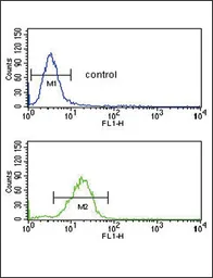 Anti-RAGE antibody used in Flow cytometry (FCM). GTX16592