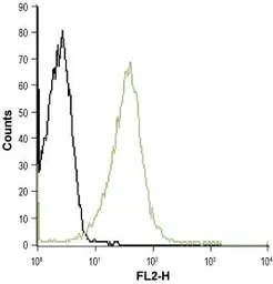 Anti-Kv1.3 antibody used in Flow cytometry (FCM). GTX16679