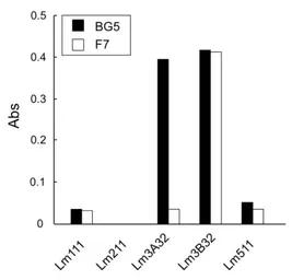 Anti-Laminin alpha 3B antibody [F7] used in ELISA (ELISA). GTX17684
