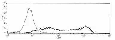 Anti-OPG antibody [bony-1] used in Flow cytometry (FCM). GTX18051