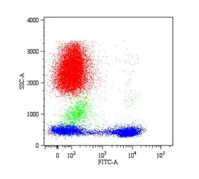 Anti-CD5 antibody [CRIS1] (FITC) used in Flow cytometry (FCM). GTX21156