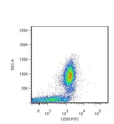 Anti-CD55 antibody [MEM-118] used in Flow cytometry (FCM). GTX21422