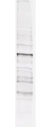 Anti-Phosphothreonine antibody [18F6] used in Western Blot (WB). GTX22286