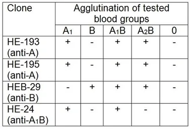 Anti-Blood Group A antigen antibody [HE-195] used in Agglutination (Agglutination). GTX22522