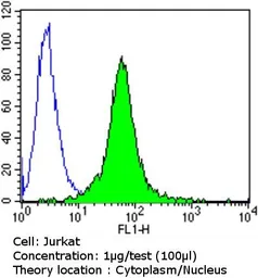 Anti-Glucocorticoid Receptor antibody [BuGR2] used in Flow cytometry (FCM). GTX22768